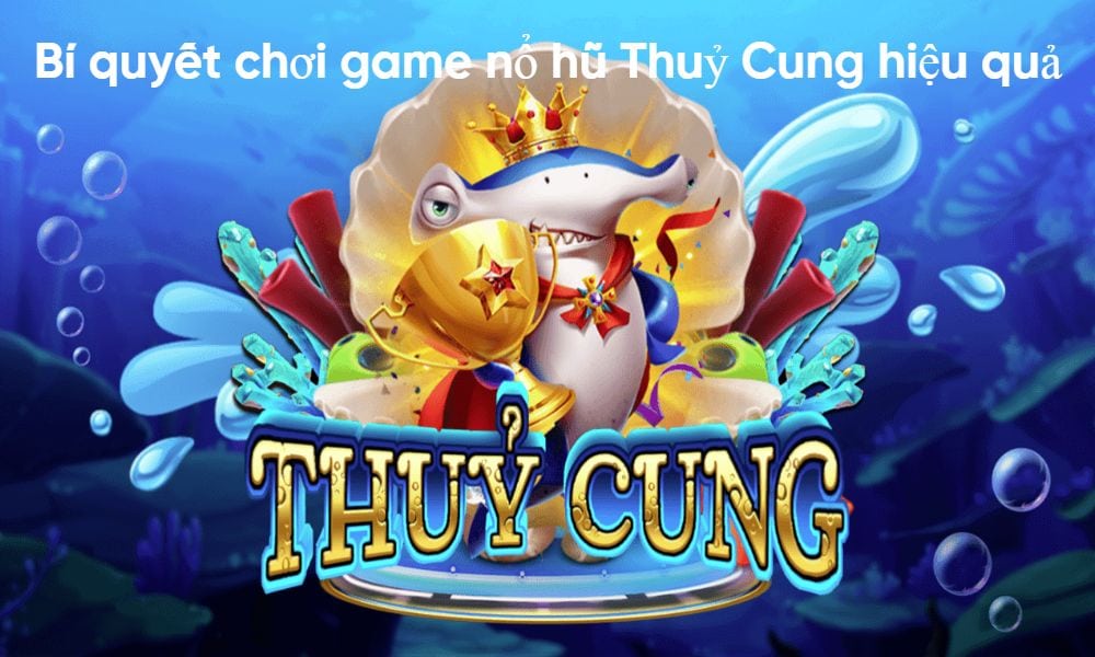 no hu thuy cung 67cd05032d9d3
